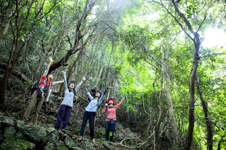 『田原の屋久島』を現役屋久島ネイチャーガイドがご案内♪
