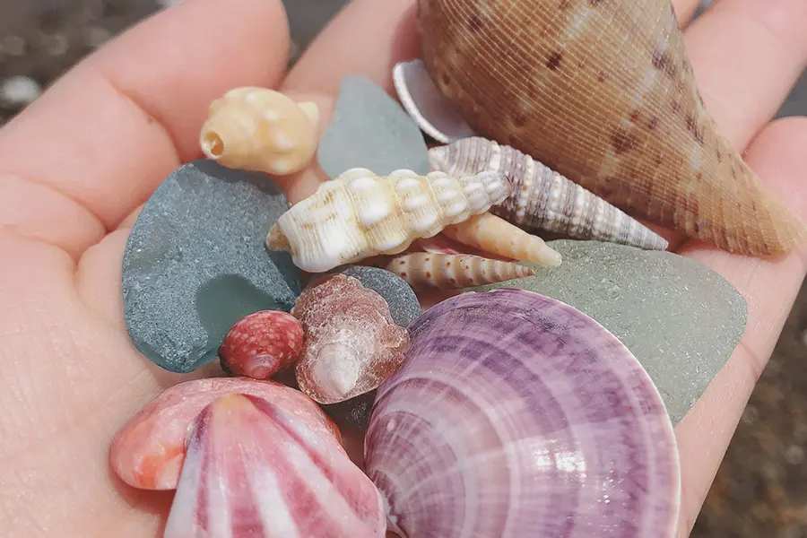 海を学ぼう！館内でビーチクラフト体験