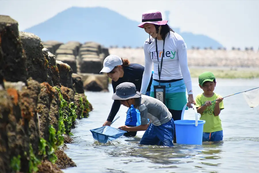 海の生き物大捜索
