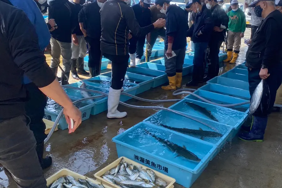 昼食付き魚市場セリガイドツアー