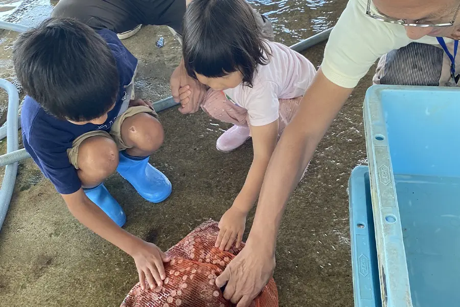 昼食付き魚市場セリガイドツアー
