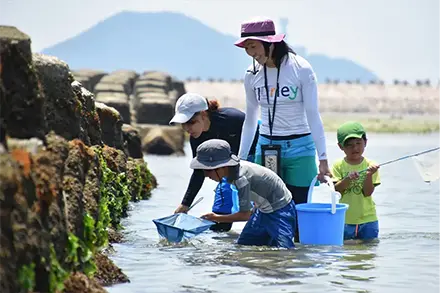 海の生き物大捜索