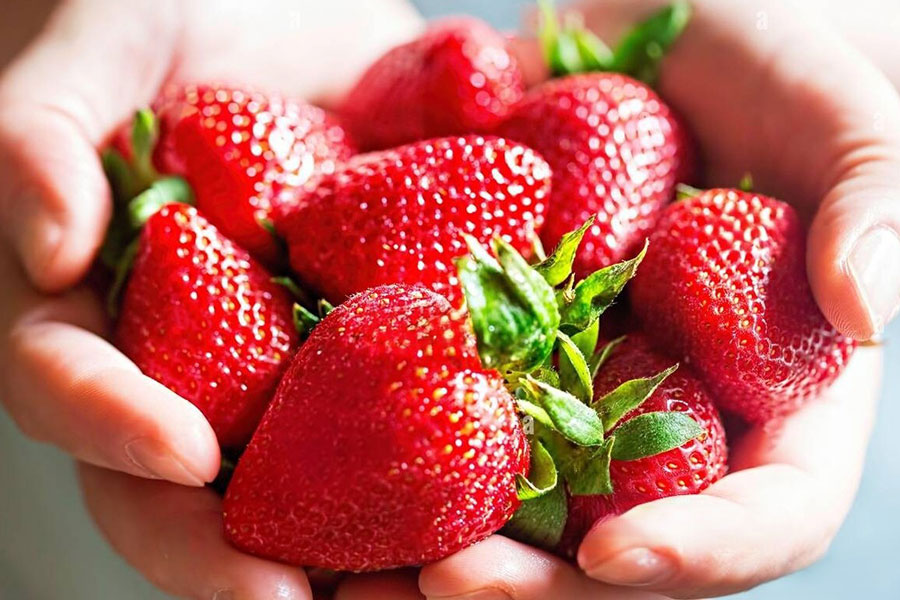 自然を感じるプログラム