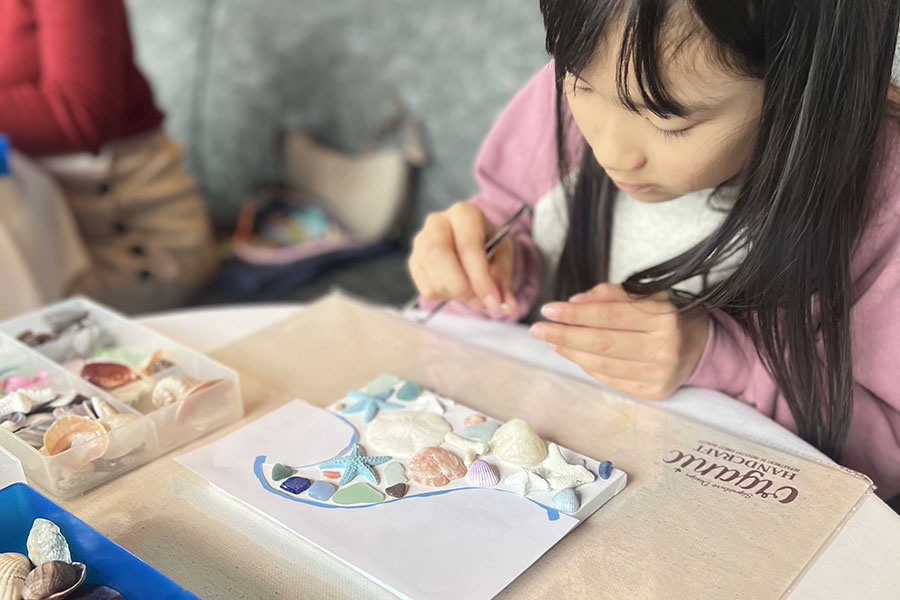 ビーチクラフト体験