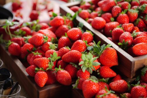 ■2026年も開催決定！■「いちごフェア」期間限定開催のご案内♪