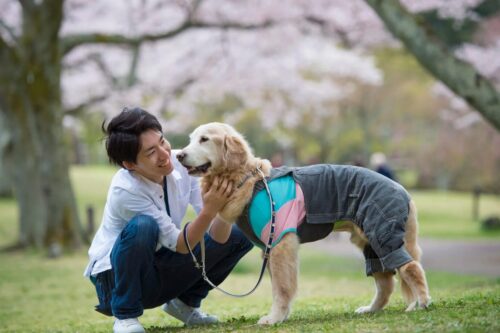 【愛犬の笑顔が、旅のすべて】愛犬ファーストのリゾートで、最高の思い出をつくる情報サイト公開