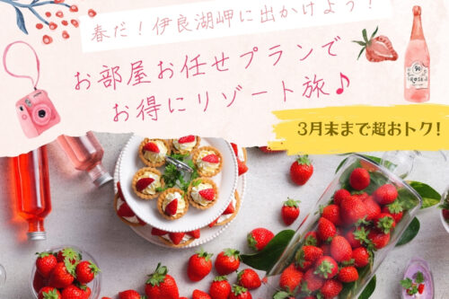 リゾートホテルで非日常を味わう🌴お値打ちプランのご紹介♪