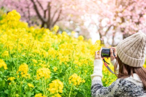 【3連休はどこに行く？】寛ぎリゾートステイで🌸春の伊良湖🌸を満喫しよう！