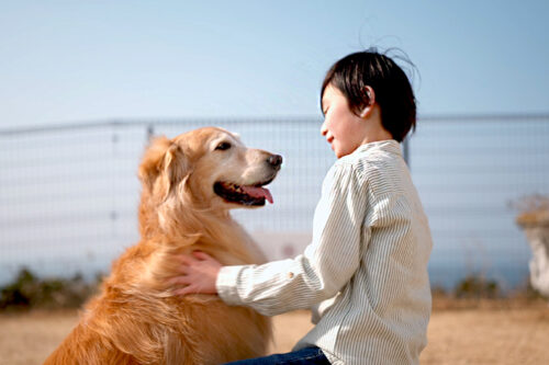 ＼Only 1 room left! A vacancy has opened up 🐶🐾／