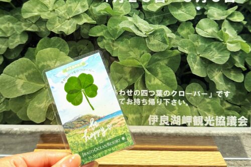 今天是什么日子?\四叶节 (4月28日) 🍀/