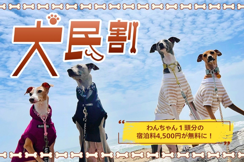 ■■托您的福一周年!狗狗友好房间推出令人欣喜的套餐🐶 🐾