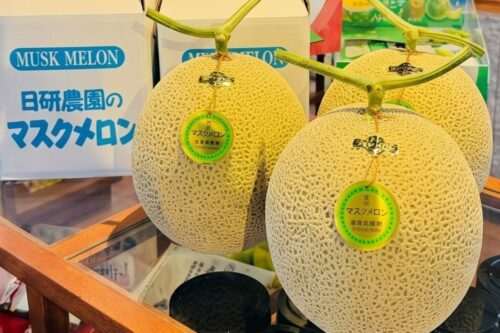 <First time this year!> Tahara-grown melons go on sale starting today, June 25th! 🍈
