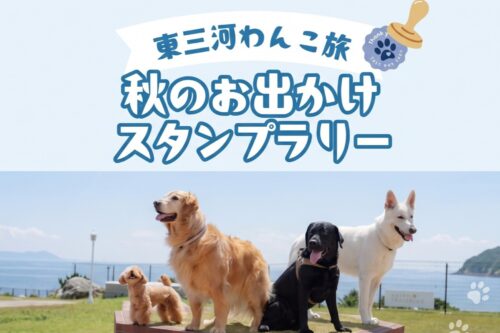 🐶向爱狗人士推荐🐾来参加“东三河狗狗之旅秋季外出盖章拉力赛”吧😆 🎵 (2026年)